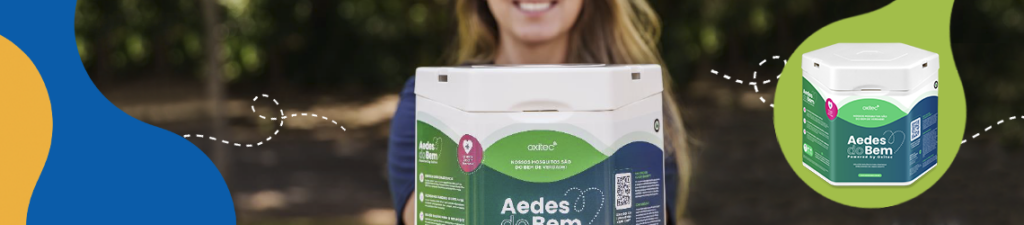 Aedes