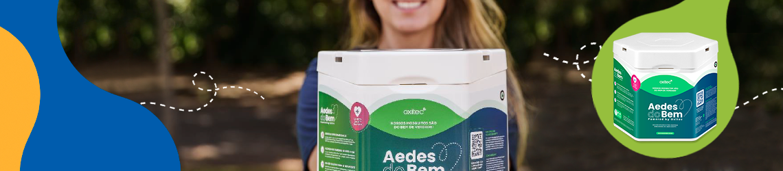 Aedes