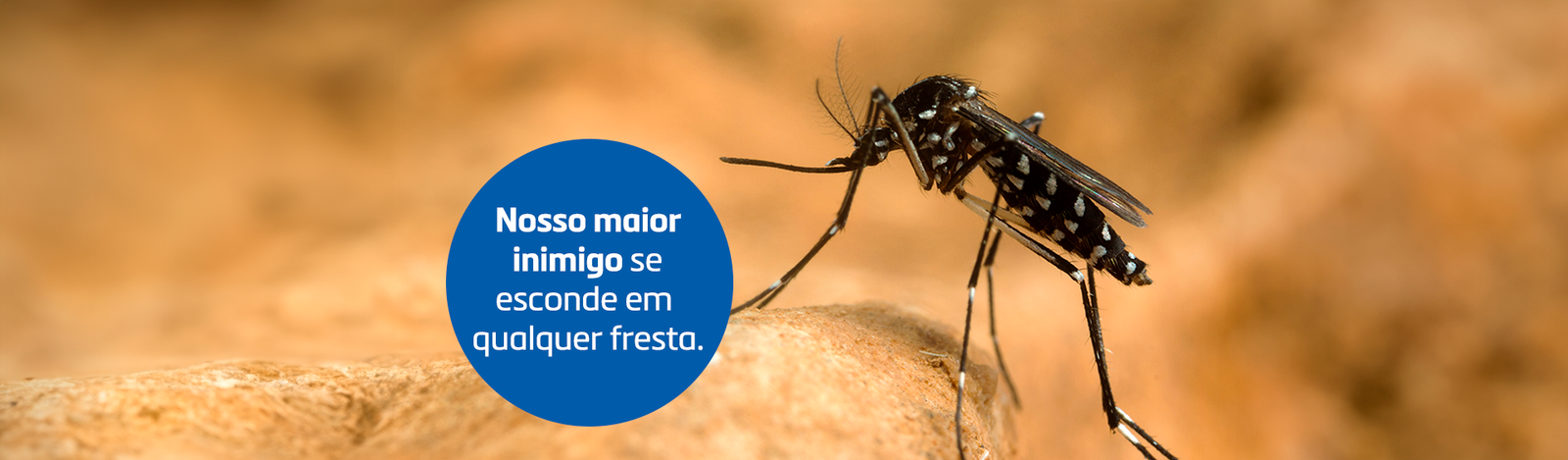 Bioseta Mosquitos