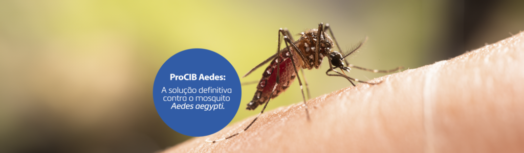 Prevenção Mosquito da Dengue