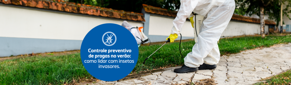 Controle preventivo de pragas no verão: como lidar com insetos invasores