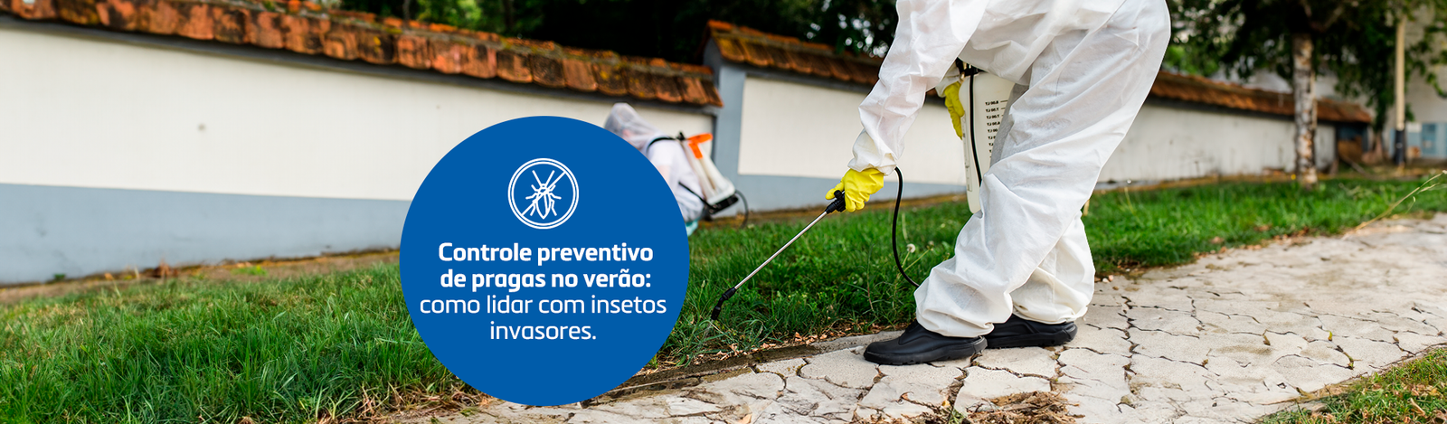 Controle preventivo de pragas no verão: como lidar com insetos invasores